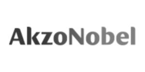 Logo AkznoNobel